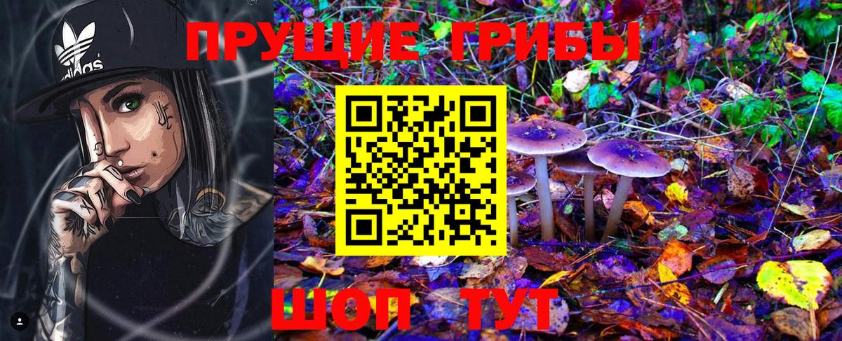 Галлюциногенные грибы Magic Shrooms Аргун