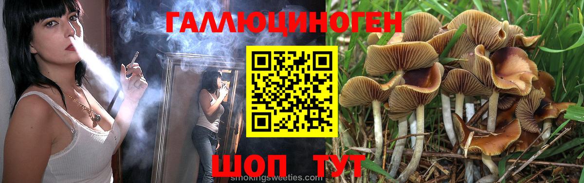 Аргун  Галлюциногенные грибы Psilocybine cubensis  закладка  Псилоцибиновые грибы MAGIC MUSHROOMS  Вход с VPN 