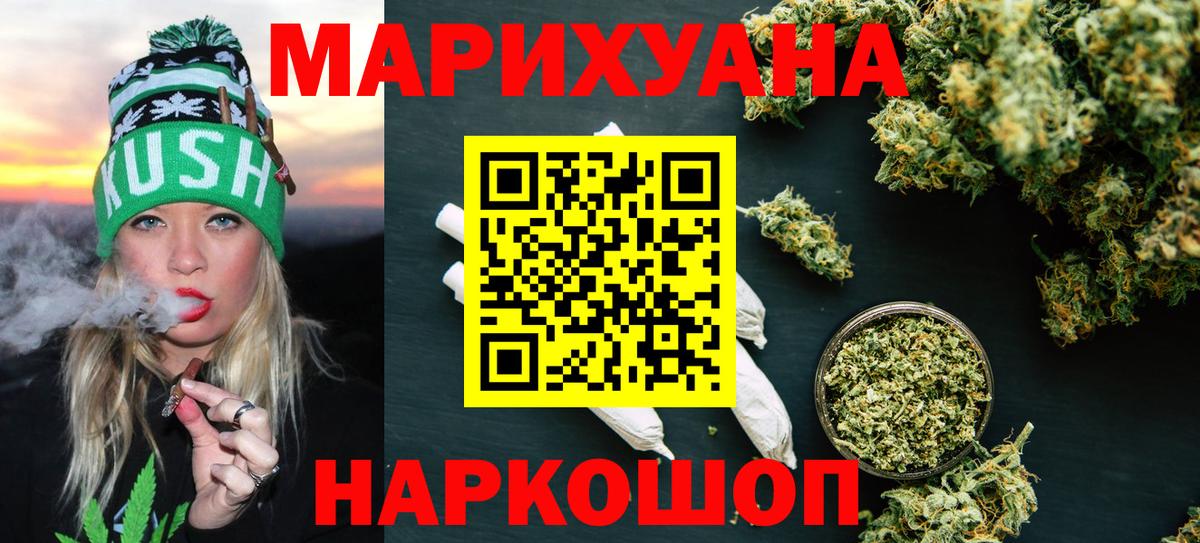 Конопля сатива Аргун